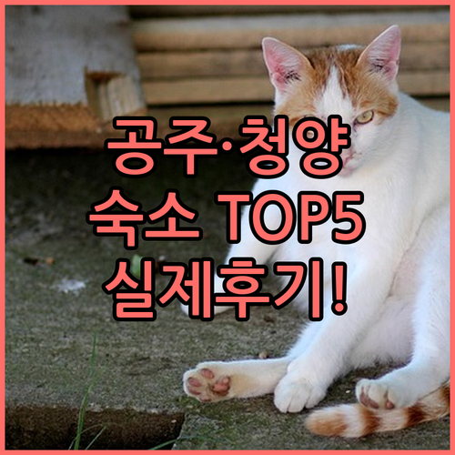 공주 청양 여행 숙소 베스트 5 위치..
