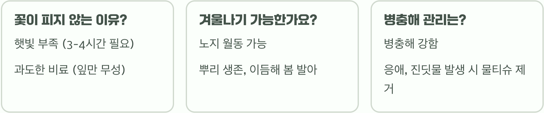제비꽃 키우는 법과 관리 요령, 화분과 정원에서 쉽게 기르는 방법