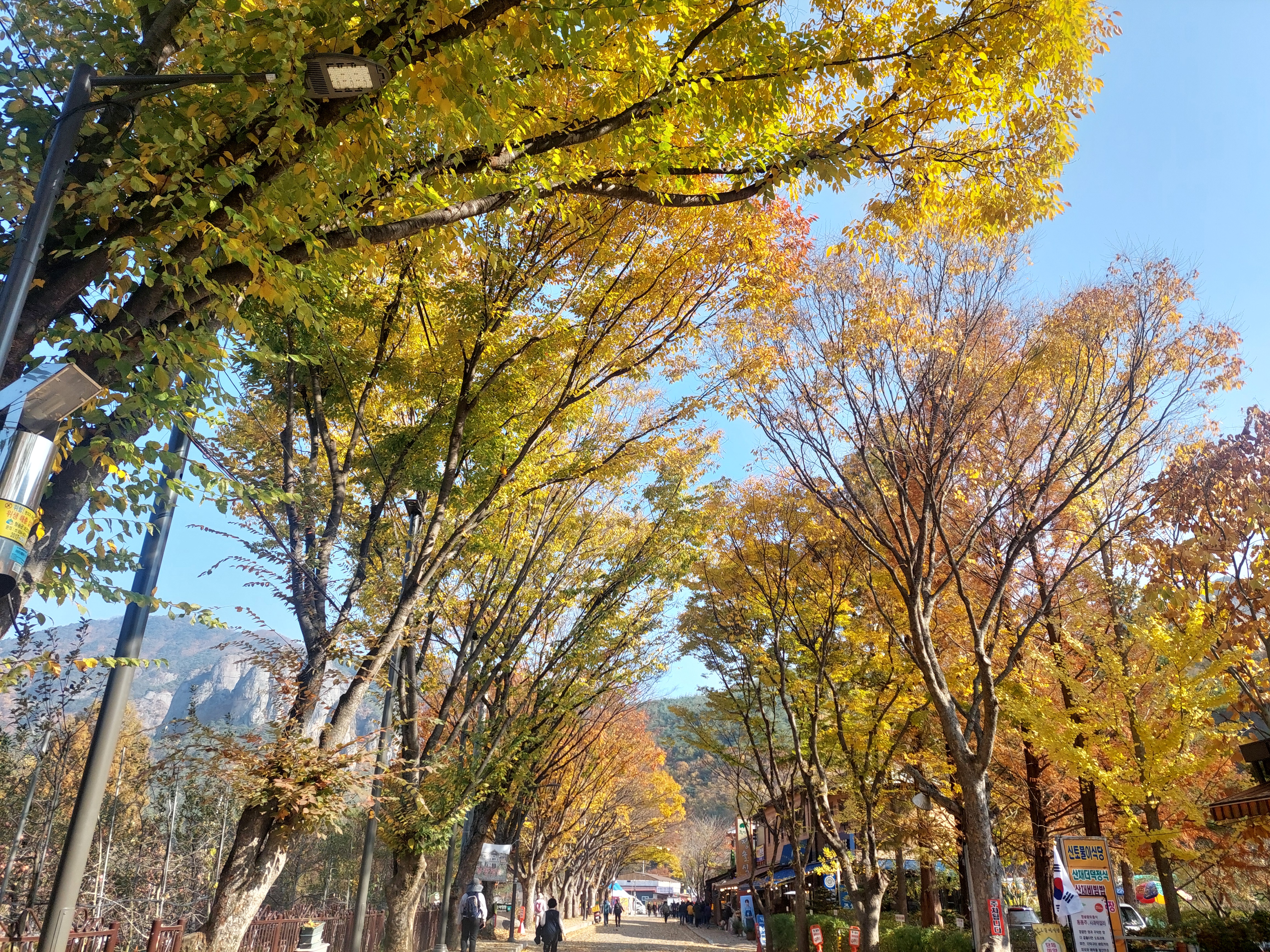 주왕산