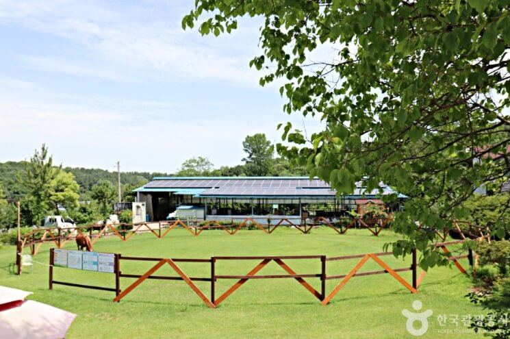 익산 가볼만한곳 베스트 10