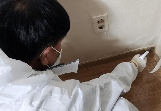 충북 충주 빈대 발견 퇴치법 질병관리청