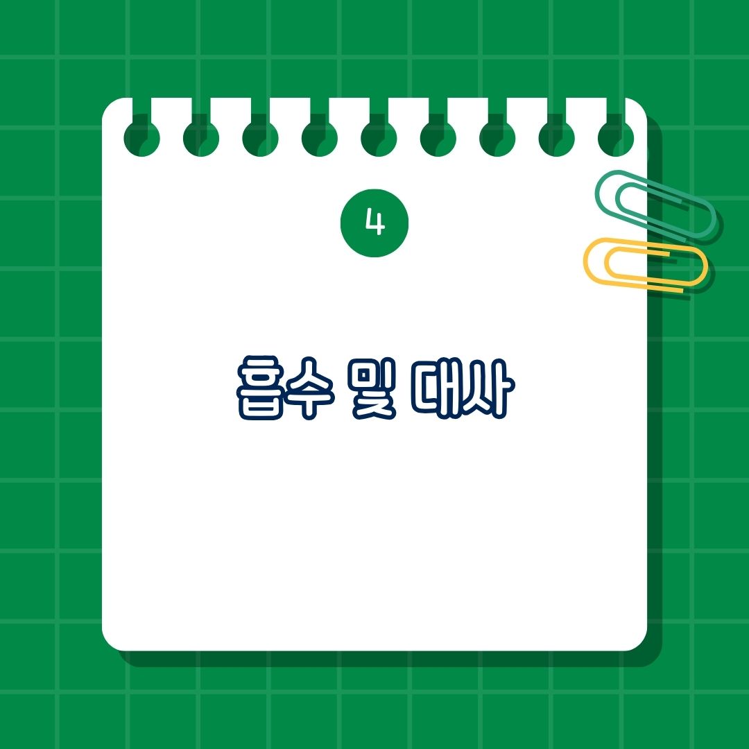 N-아세틸글루코사민(N-Acetylglucosamine, NAG)과 글루코사민(Glucosamine), 엔아세틸글루코사민과 글루코사민, N아세틸글루코사민과 글루코사민 흡수 및 대사, 효능, 효과 비교