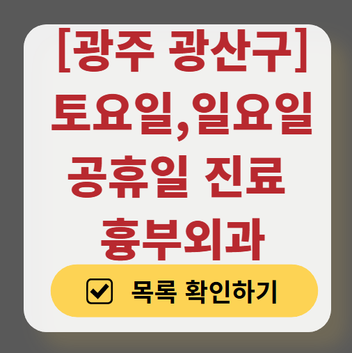 광주 광산구 주말 토요일 일요일 흉부외과 진료 병원 목록 ❘ 공휴일 진료 영업 병원 리스트 찾기