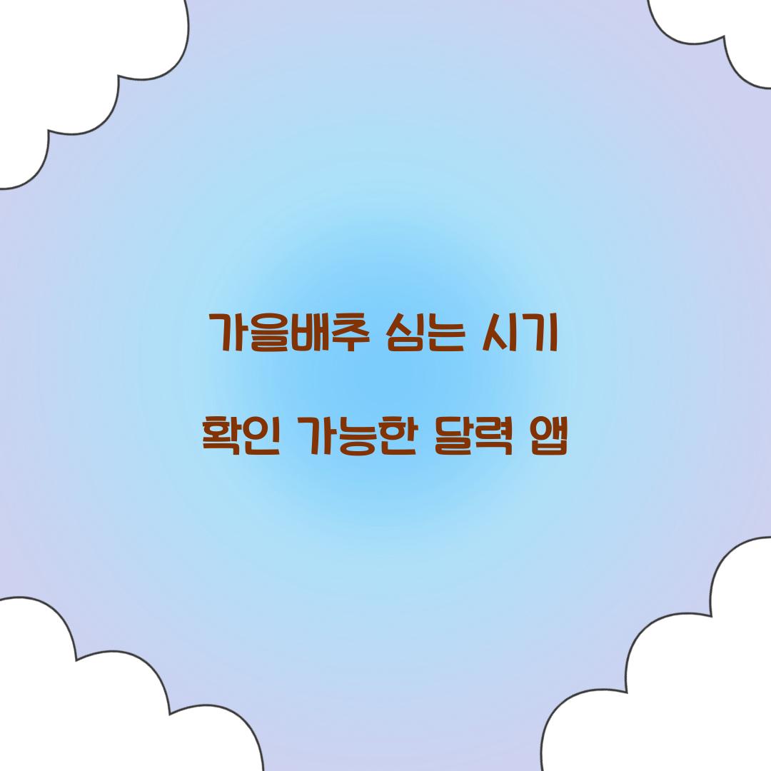 가을배추 심는 시기 확인 가능한 달력 앱