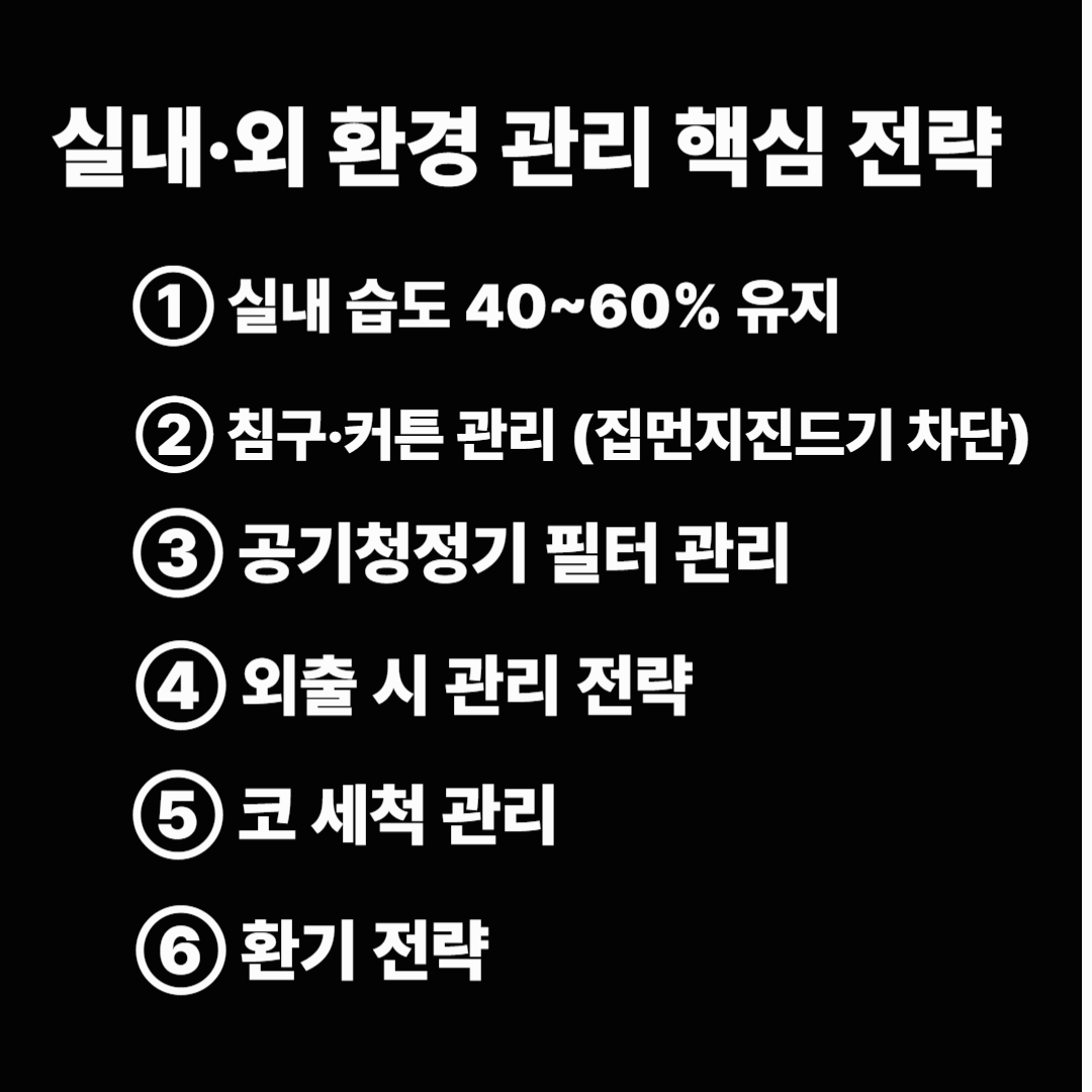 실내&middot;외 환경 관리 핵심 전략 이미지사진