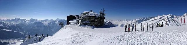 녹용 선물 액기스 캡슐 스틱 체질과 예산에 맞춘 섭취 가이드_3