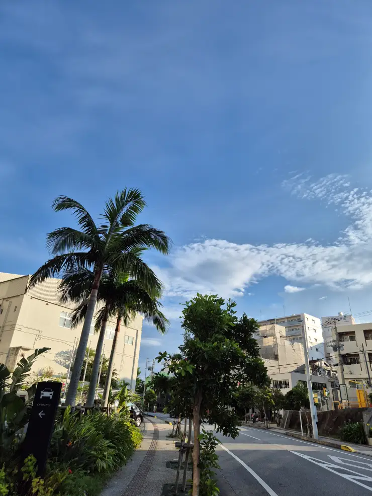 오키나와-네비게이션