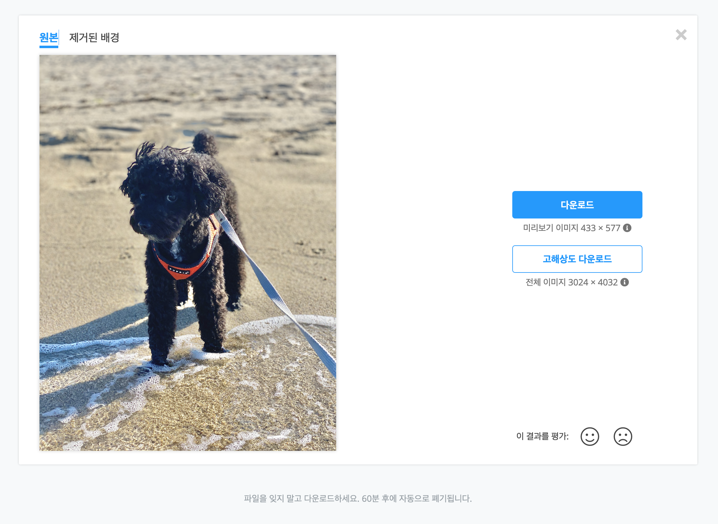 피사체와 배경의 경계가 모호한 사진 원본