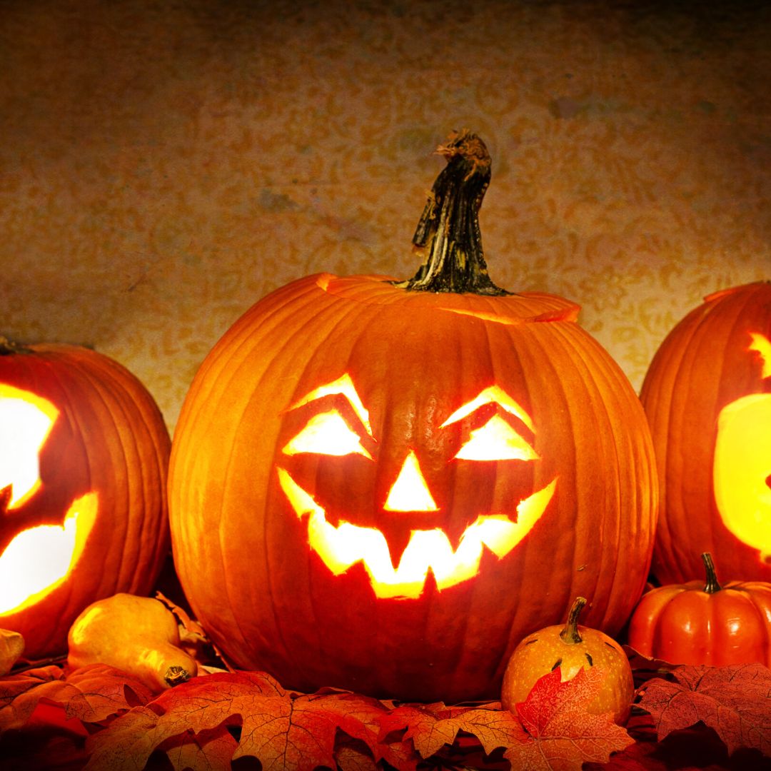 2024/할로윈/축제/열리는/대표 장소