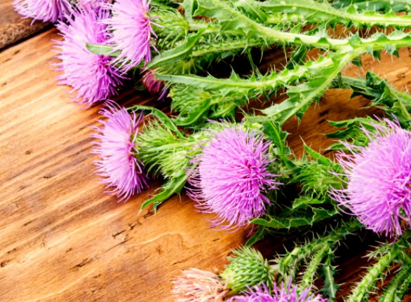 투비컷-다이어트-효과