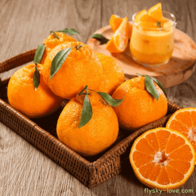 비타민 가득한 한라봉