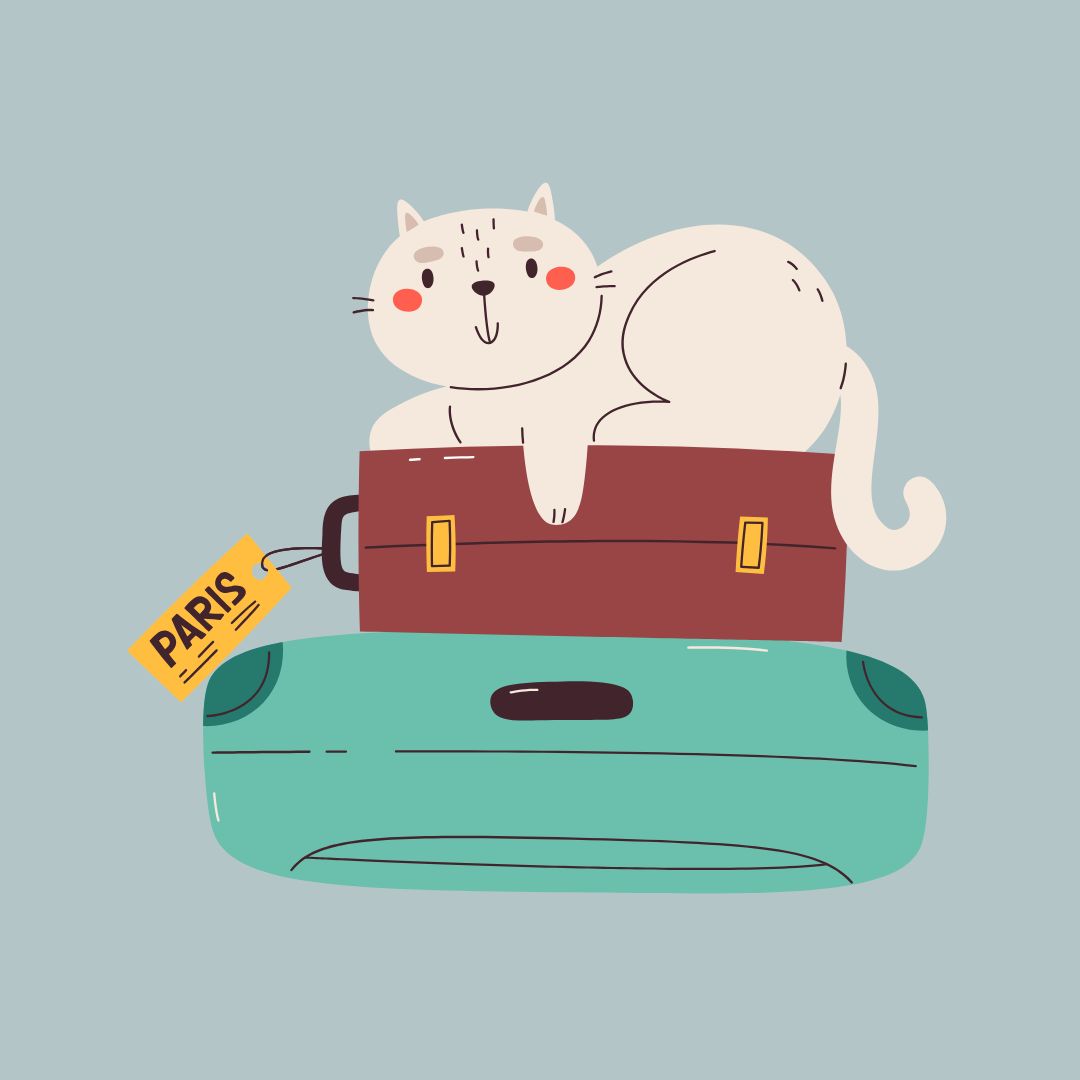 반려동물과/여행하기/대중교통별/이용방법