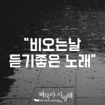 비오는 날 인사말 문구 이미지 사진 정리_23