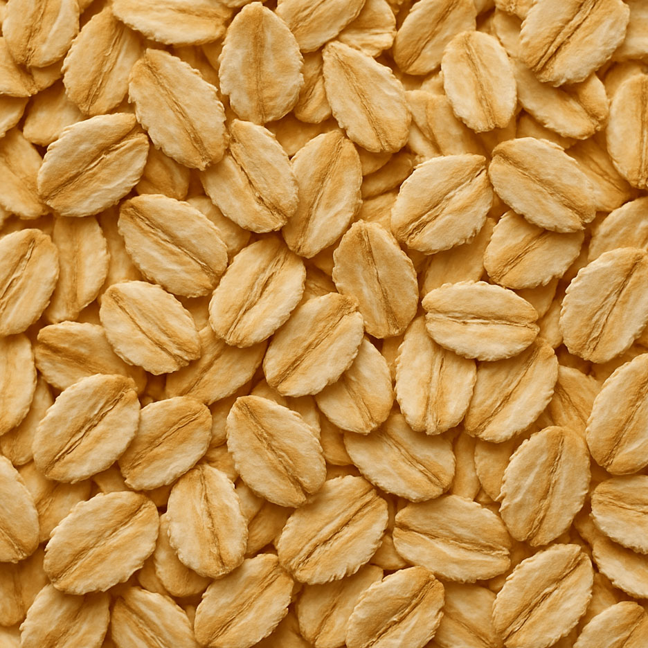 플라하반 포리지 오트밀