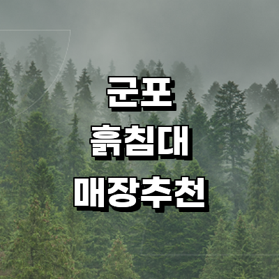 군포시 흙침대