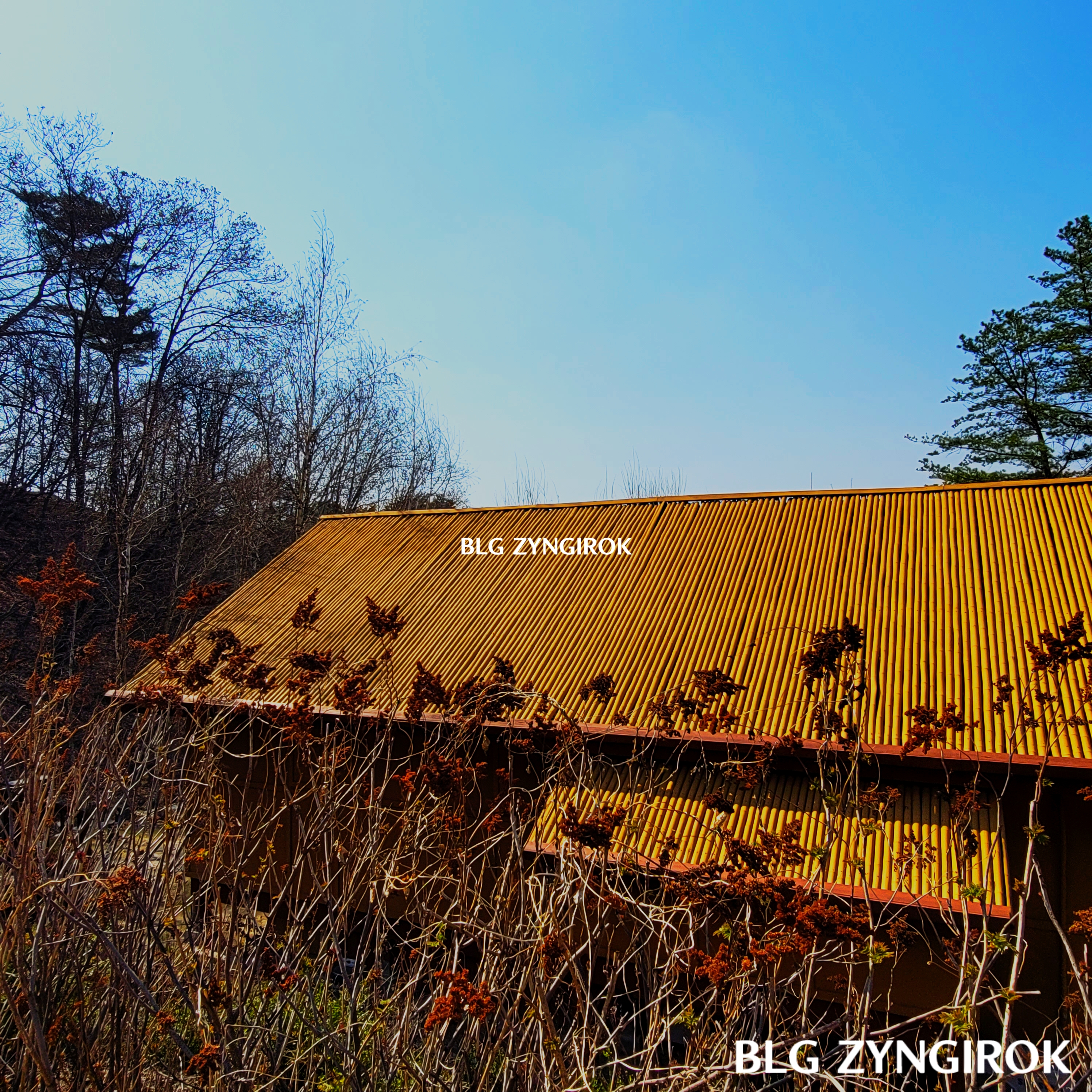 국립-아세안-휴양림-라오스-전통가옥이다.