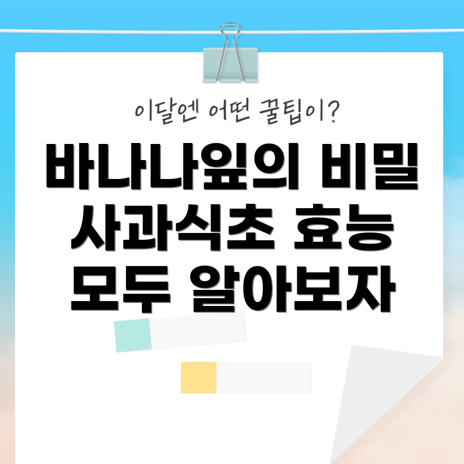 바나나잎 추출물과 사과식초