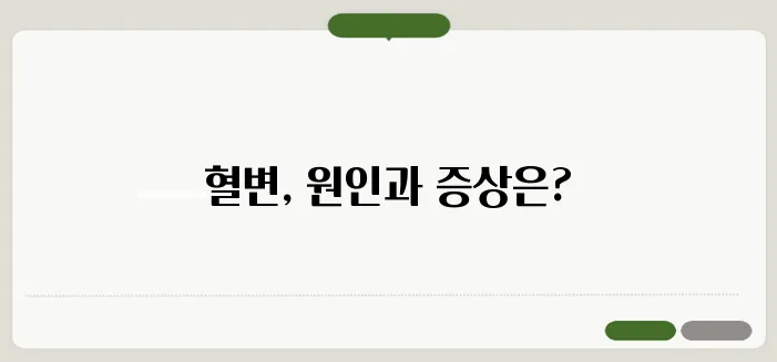 혈변 원인과 질환별 증상