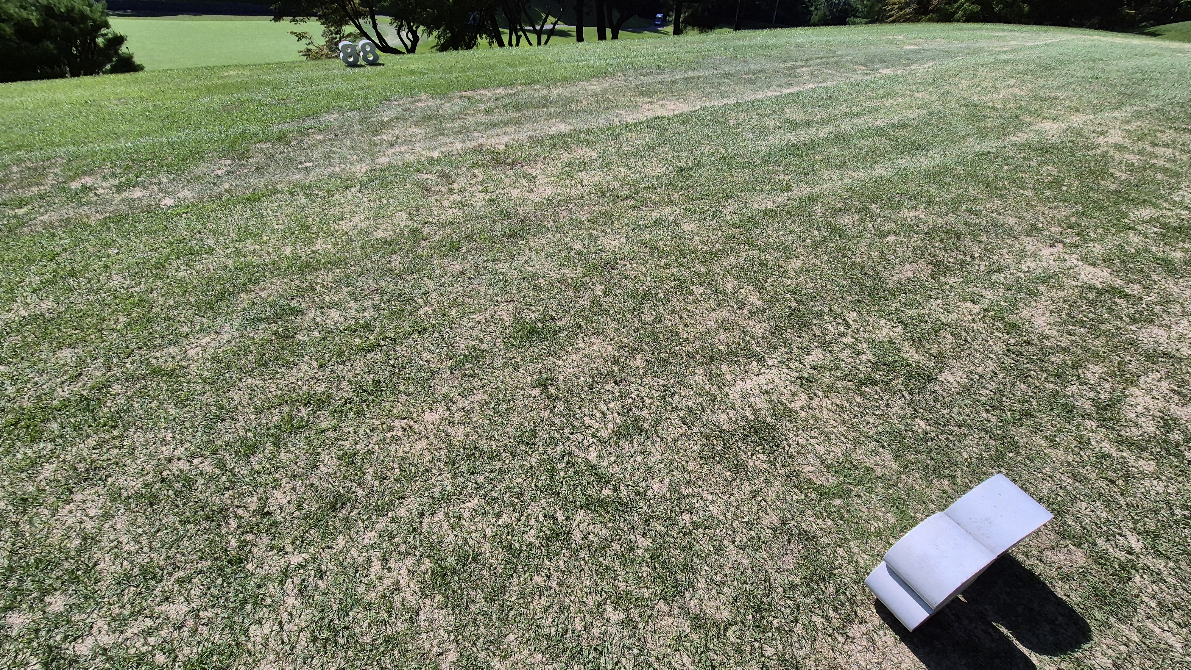 골프존카운티 화랑 라운드 후기