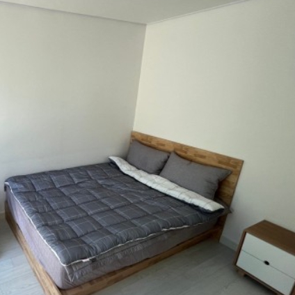 용인/새로운/인기/핫플/용/자작나/숲