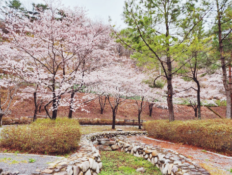 벽계야영장-의령