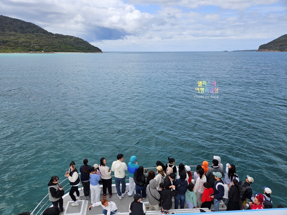호주 시드니 사막 포트스테판 투어 솔직후기 가격 코스 야생 돌고래 크루즈