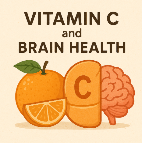 비타민 C와 뇌질환 예방 사진