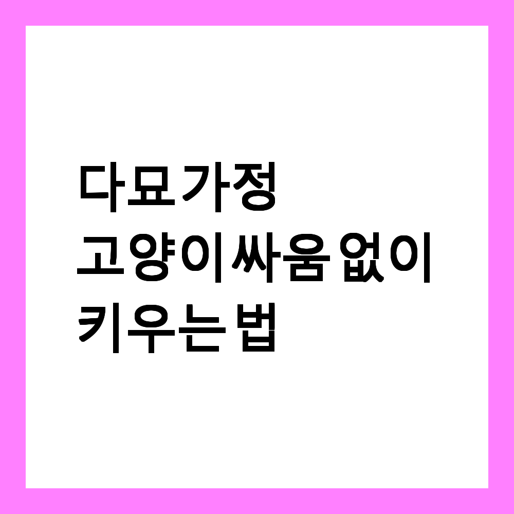 🐱 다묘 가정에서 고양이 싸움 없이 키우는 법