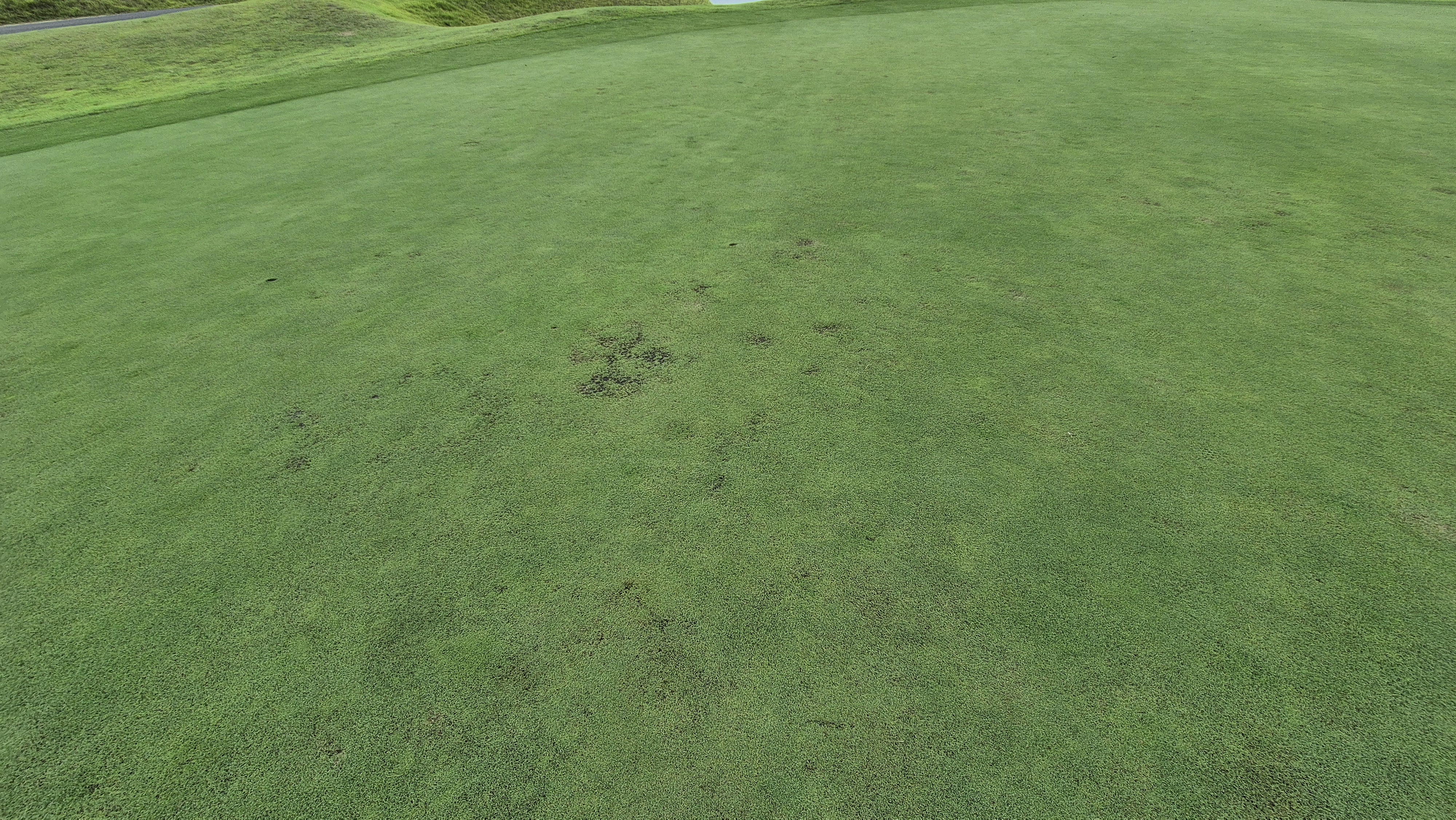 플라밍고cc 듄스-링크스 코스 라운드 후기