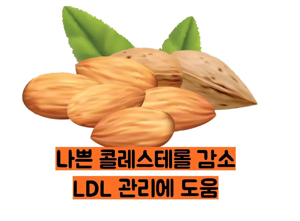아몬드 효능