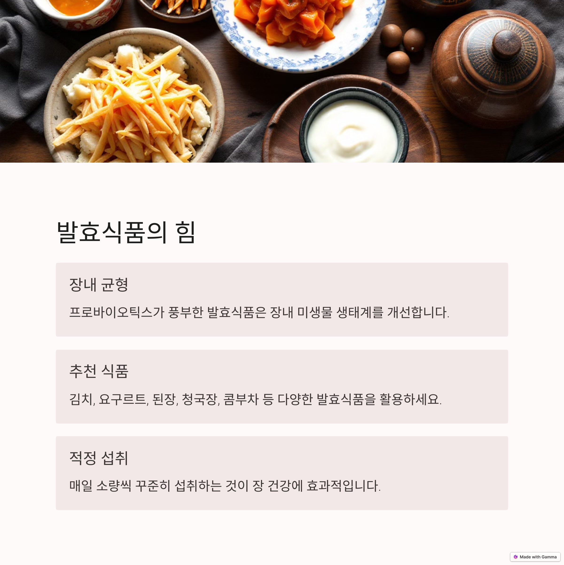발효식품의 힘