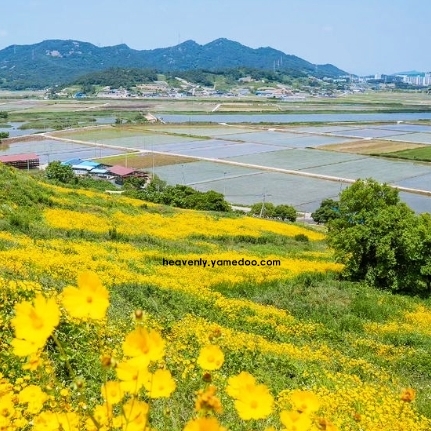 영광 가볼만한곳 베스트10