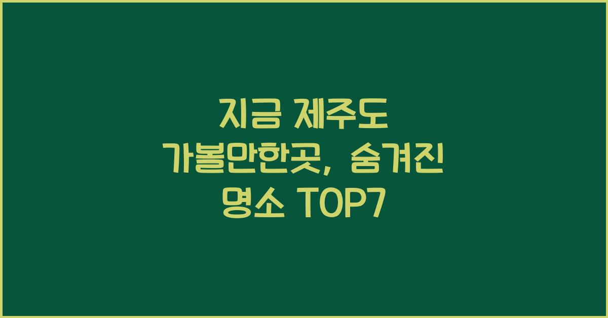 지금 제주도 가볼만한곳