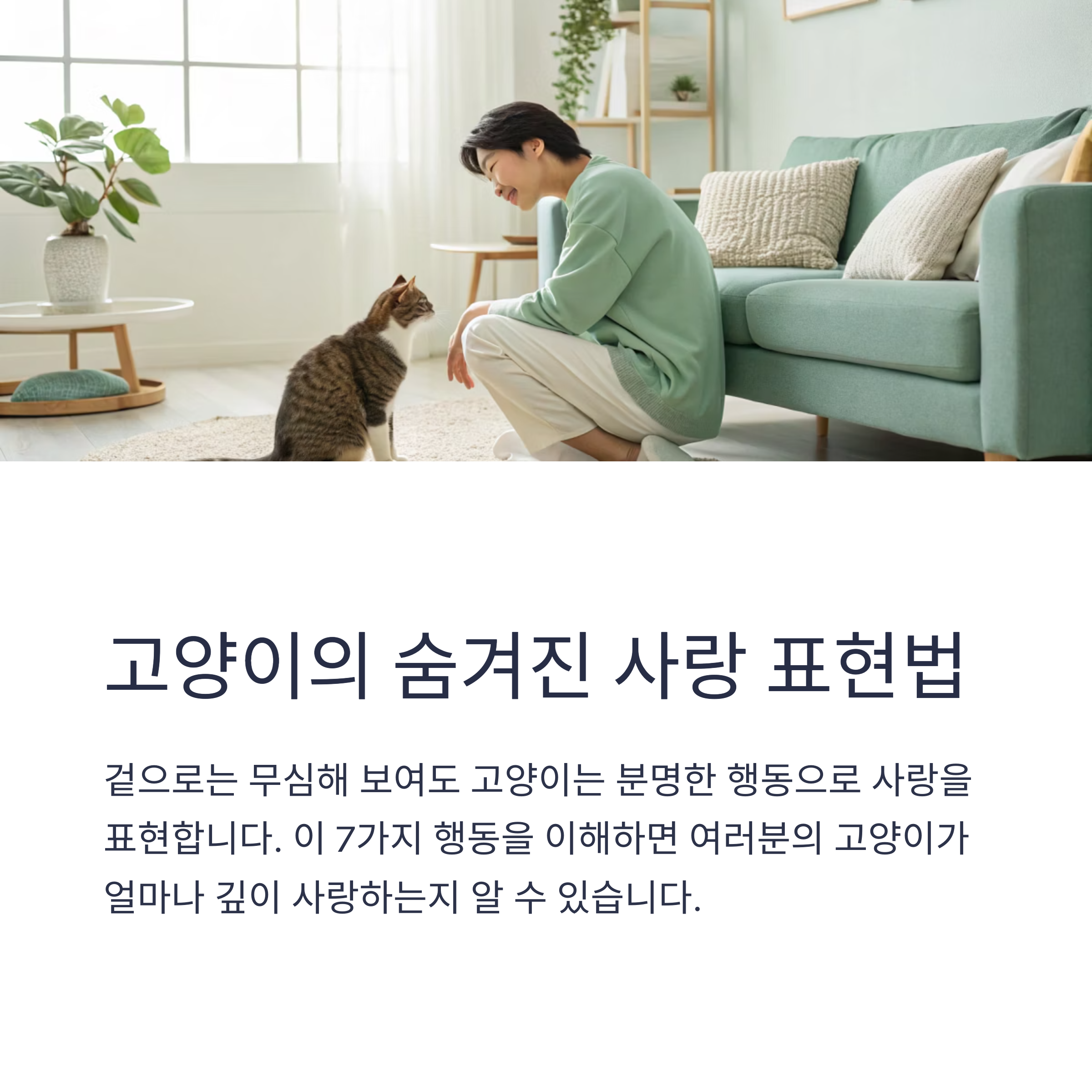 고양이의 숨겨진 사랑 표현법