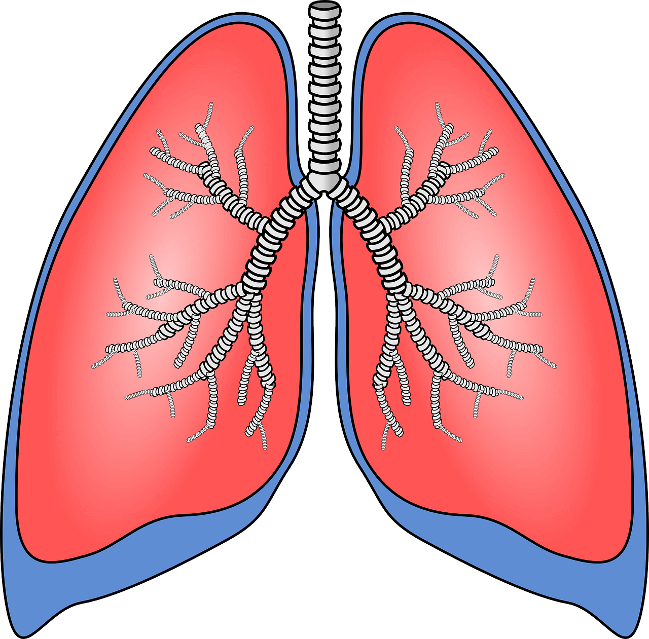 폐에 좋은 영양제