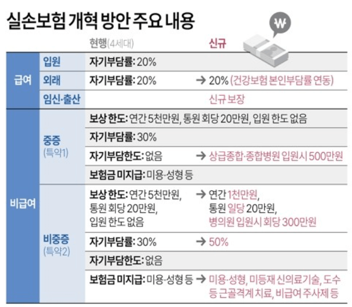 5세대 실손보험