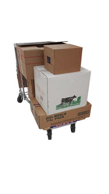 다이소 퀵커머스