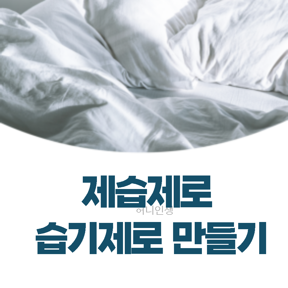제습제
