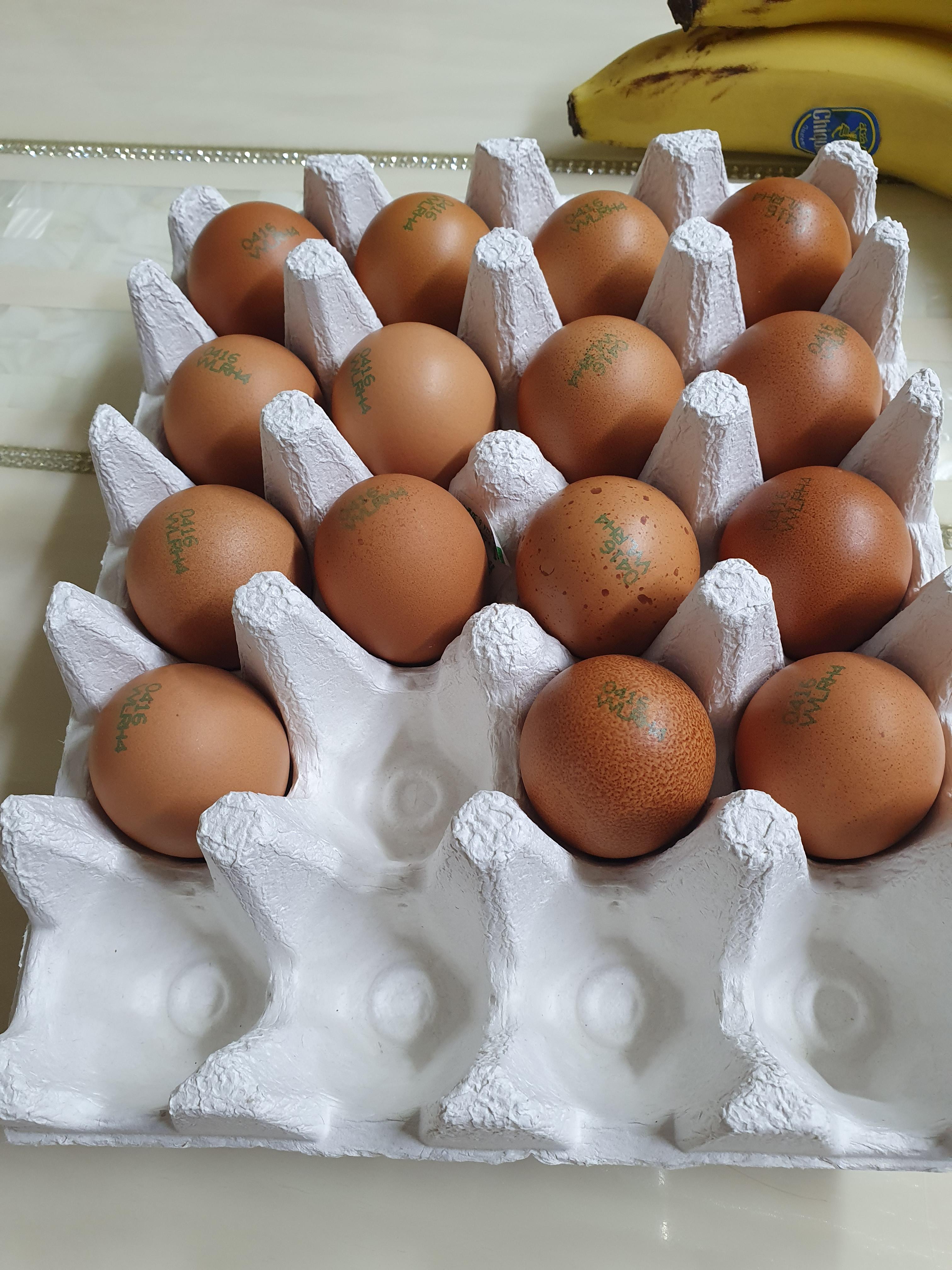 순식간에 5개 클리어 맛있음