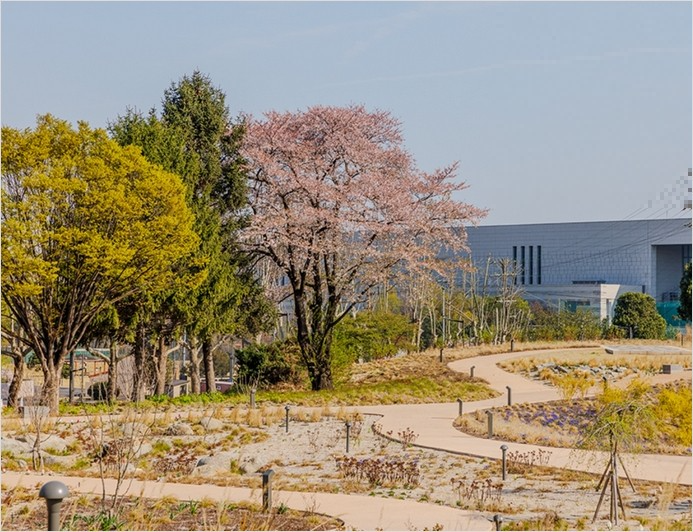 2TV 생생정보&amp;#44; 미리보기&amp;#44; 다시보기&amp;#44; 맛집 위치는?