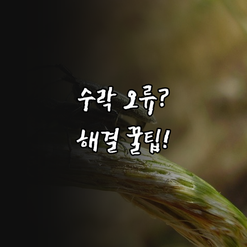 온누리상품권 선물 수락 오류 원인 및..