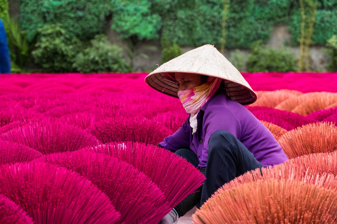 Vietnamese culture.