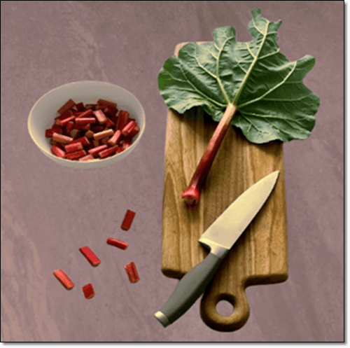 대황 안트라퀴논