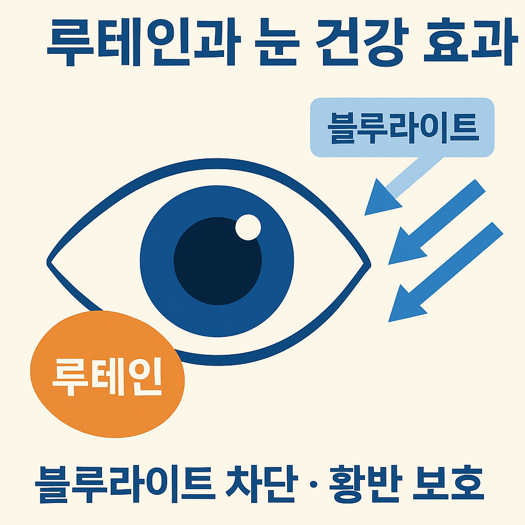 루테인(Lutein)의 눈 건강 효과와 올바른 선택 기준