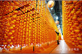 상주곶감축제 주차장&amp;#44; 이찬원&amp;#44; 기차예매