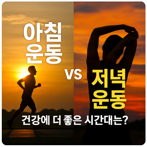 아침운동 저녁운동