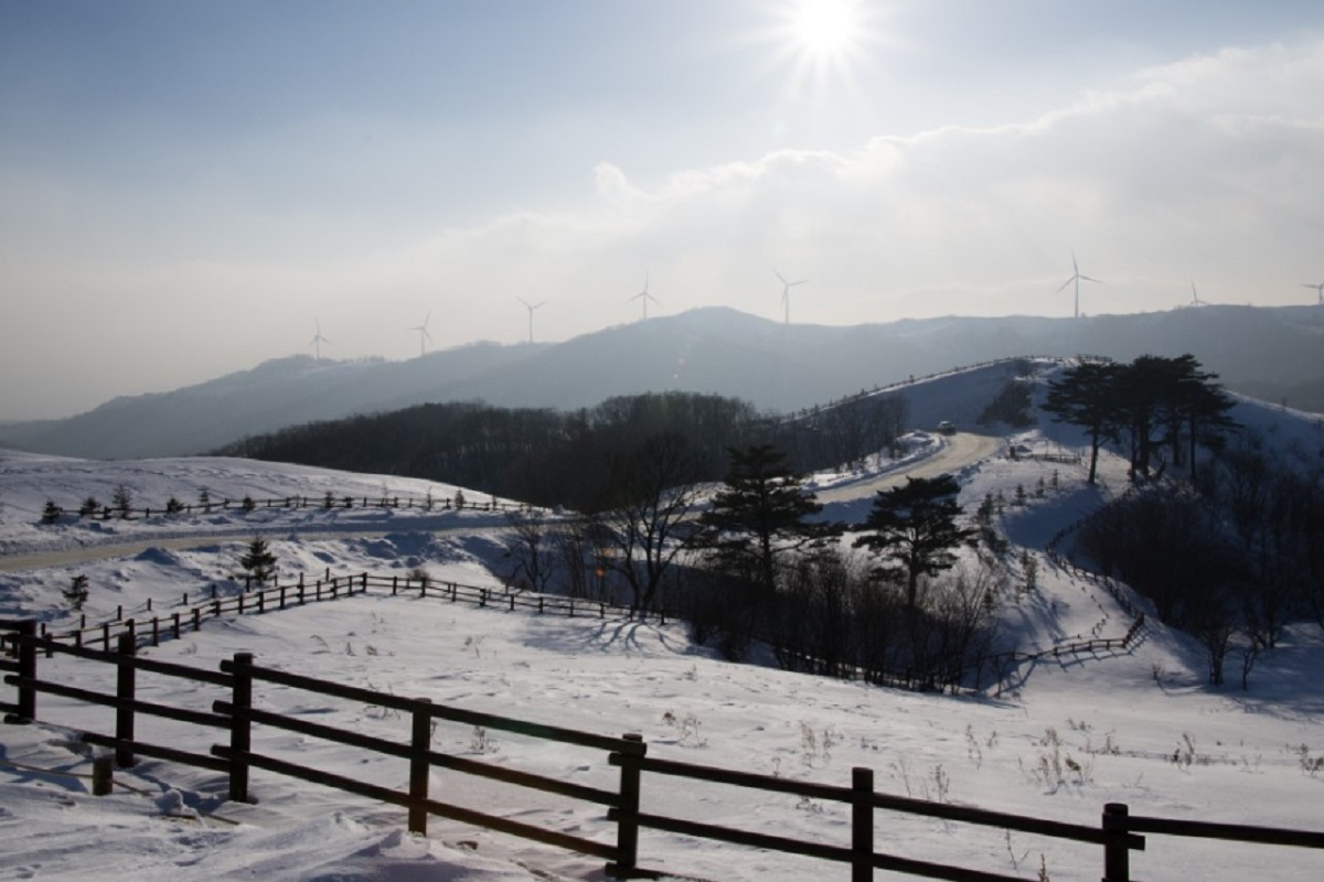 12월 여행지 추천 겨울 눈꽃열차 6곳 - 12월 여행지 추천 겨울 눈꽃열차 6곳 - 3. 대관령 눈꽃열차 - 대관령 12월 여행지 추천 겨울 눈꽃열차 6곳 - 12월 여행지 추천 겨울 눈꽃열차 6곳 - 3. 대관령 눈꽃열차 - 대관령
