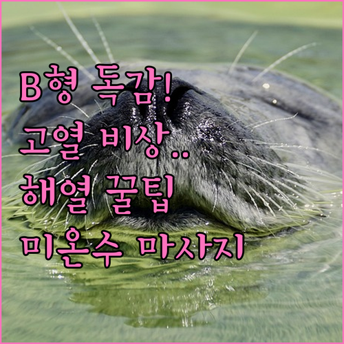 B형 독감 아이 고열 내리는 법과 미..