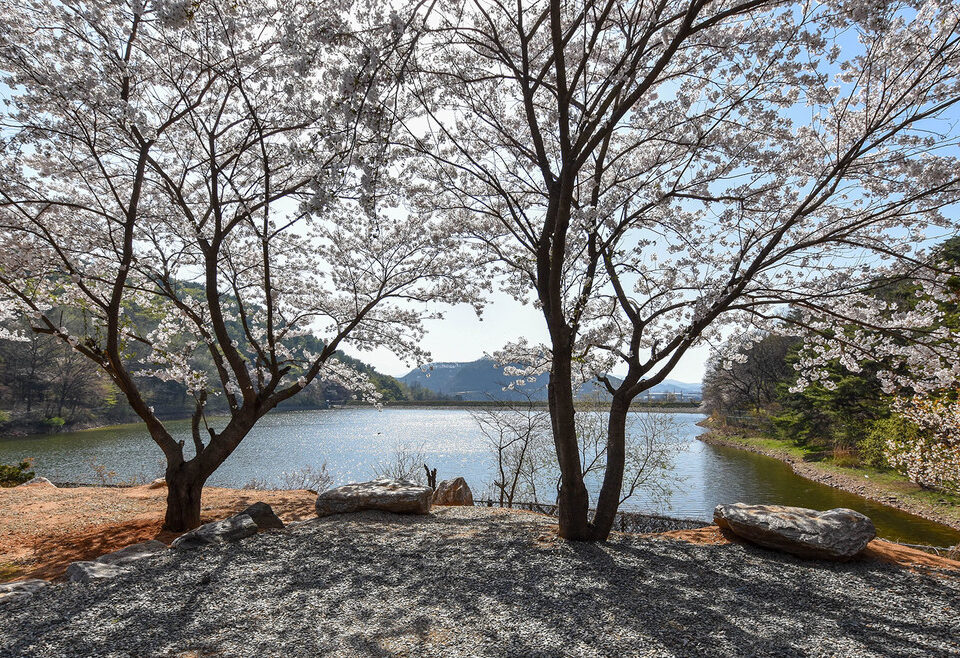 문수골힐링캠핑장 (애견동반가능)