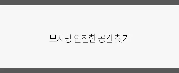 이동장과 숨숨집, 반려묘를 위한 최적의 조합입니다!